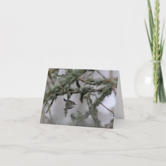 Bewick's Wren and moss Blank Note Card Karte (Vorderseite)