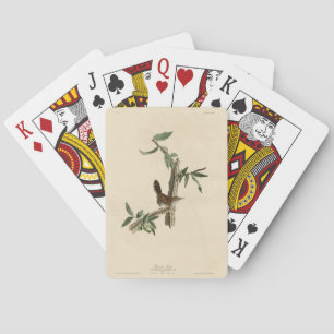 Bewick's Wren von Audubons Vögeln von Amerika Spielkarten