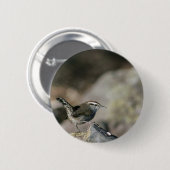 Bewicks Zaunkönig Button (Vorne & Hinten)