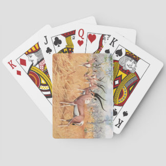 Bewilligungs-Gazelle - Spielkarten F.W. Kuhnert