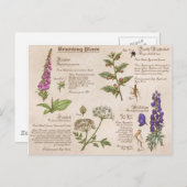 Bewittern von Pflanze Feild Guide Postcard Postkarte (Vorne/Hinten)