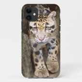 Bewölkter Leopard Case-Mate iPhone Hülle (Rückseite)