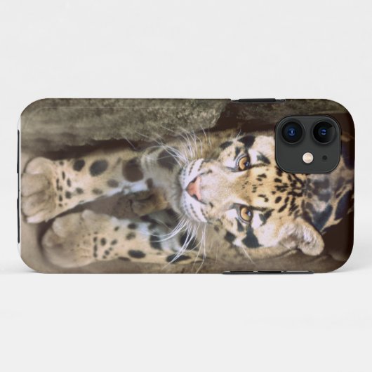 Bewölkter Leopard Case-Mate iPhone Hülle (Rückseite (Horizontal))