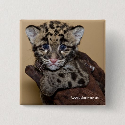Bewölkter Leopard CUB Button (Vorderseite)