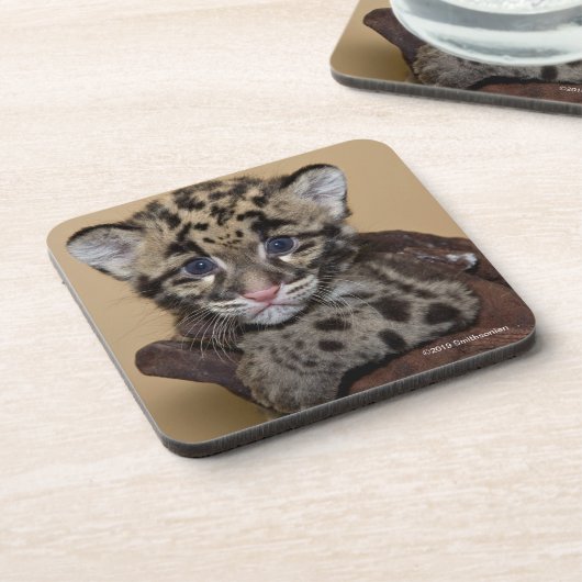 Bewölkter Leopard CUB Getränkeuntersetzer (Linke Seite)