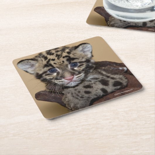 Bewölkter Leopard CUB Rechteckiger Pappuntersetzer (angewinkelt)
