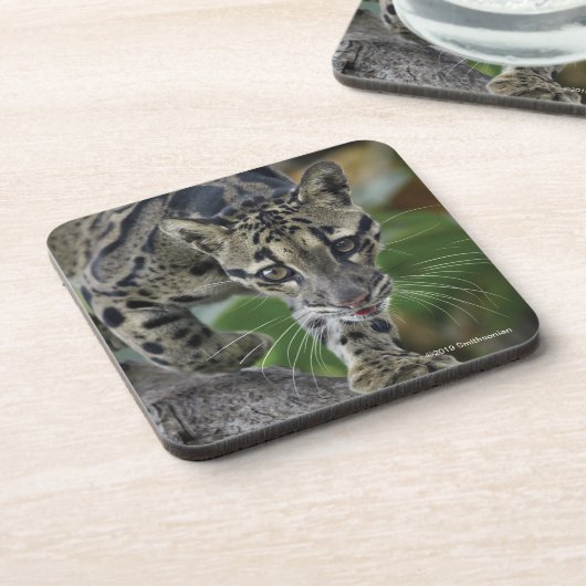 Bewölkter Leopard in Bewegung Getränkeuntersetzer (Linke Seite)