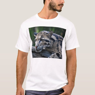 Bewölkter Leopard T-Shirt
