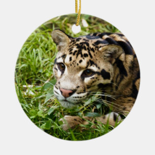 bewölkter Leopard wartete Mamma und Liebe Keramik Ornament
