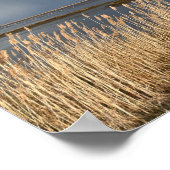 Bewölktes Day Waterscape Poster (Ecke)