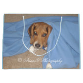 Bewundernswerte Beagle Welpe große Geschenktasche Große Geschenktüte (Vorderseite)