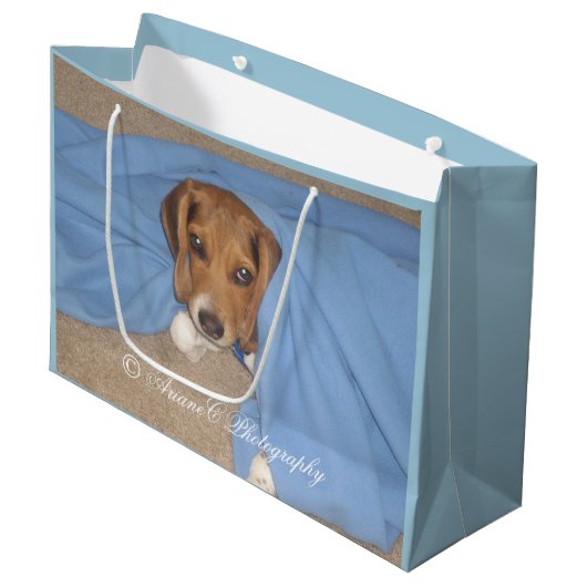 Bewundernswerte Beagle Welpe große Geschenktasche Große Geschenktüte (Vorderseite Schrägansicht)