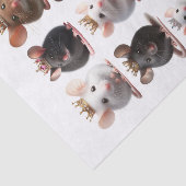 Bewundernswerte Prinzessin und Prinzessin Mäuse mi Seidenpapier (Ausschnitt)