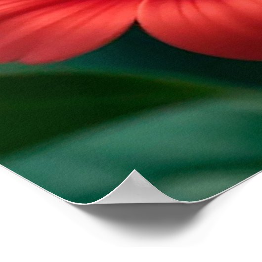 Bewundernswerter Cartoon Ladybug auf einem Blatt Poster (Ecke)