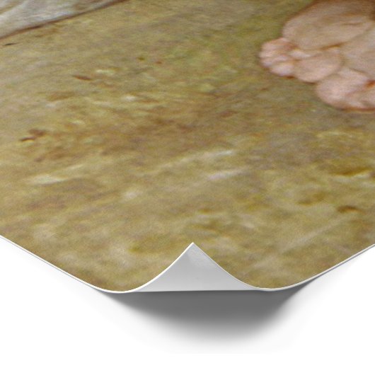 Bewunderung Bouguereau (L'bewunderung) (1867) Poster (Ecke)