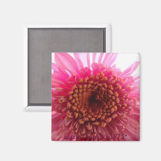 Bewunderung Magnet (Vorderseite/Rückseite)