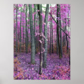 Bewunderung Poster (Vorne)