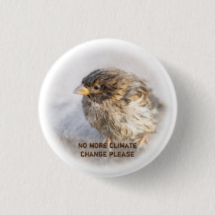 Bewusstsein für den Klimawandel Button