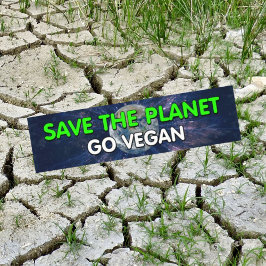 Bewusstsein Vegan Autoaufkleber