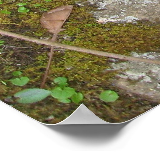 Bewusstseinsstrom Poster (Ecke)