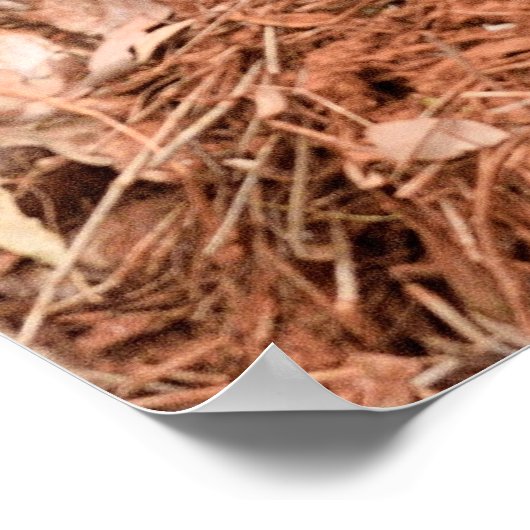 "Beyond the Old Stump" - Australisches Landschaftl Poster (Ecke)