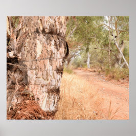 "Beyond the Old Stump" - Australisches Landschaftl Poster