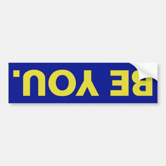 BeYouBears_NoBorder Autoaufkleber (Vorne)