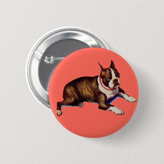 bezaubernd Boston Terrier Button (Vorne & Hinten)