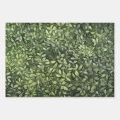 Bezaubernde Aquarellwälder Geschenkpapier Set (Vorderseite)