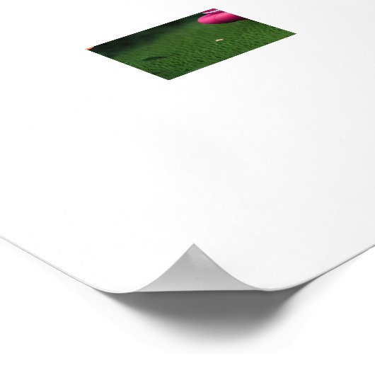 Bezaubernde Bibliothek im Freien Poster (Ecke)