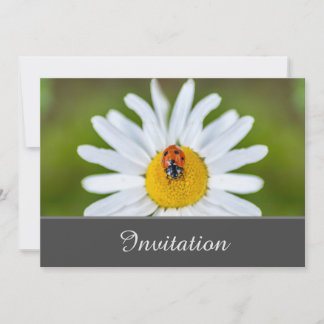 Bezaubernde Einladungskarte mit Ladybug Einladung