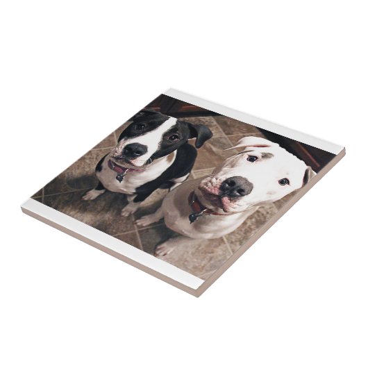 bezaubernde Hundewelpen Fliese (Seite)