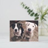 bezaubernde Hundewelpen Postkarte (Stehend Vorderseite)