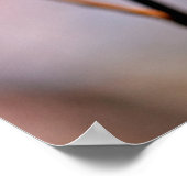 Bezaubernde japanische Apricot-Blume Poster (Ecke)