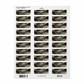 Bezaubernde nächtliche Sky Palm Trees & String Lig (Vorne)