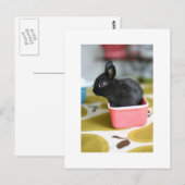 bezaubernde, sonnige Postkarte (Vorne/Hinten)