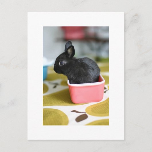 bezaubernde, sonnige Postkarte (Vorderseite)