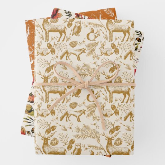 Bezaubernde Tiere aus Herbst und Winter-Wäldern Geschenkpapier Set (Beispiel)