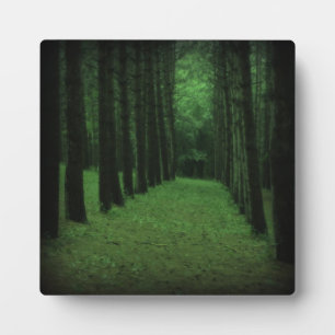 Bezaubernde Waldebene Fotoplatte