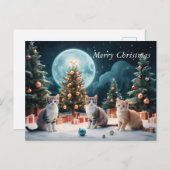 Bezaubernde Weihnachtsnacht mit Kätzchen Postkarte (Vorne/Hinten)