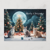 Bezaubernde Weihnachtsnacht mit Kätzchen Postkarte (Vorderseite)