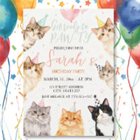 bezaubernder Cat Kindergeburtstag