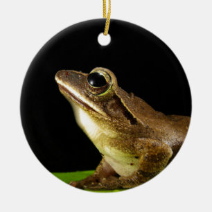 Bezaubernder Frosch auf einer Lily Pad, Wasserlili Keramik Ornament