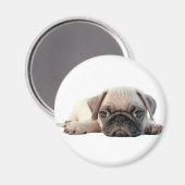 bezaubernder Mops Magnet (Vorderseite/Rückseite)