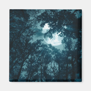 Bezaubernder Nachtwald mit Vollmond Magnet