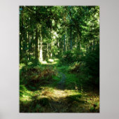 bezaubernder Wald Poster (Vorne)
