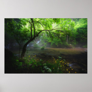 Bezaubernder Wald und Wasserfall Poster