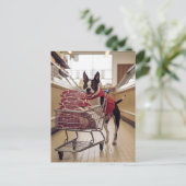 Bezauberndes Boston Terrier Shopping für Fleisch Postkarte (Stehend Vorderseite)