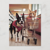 Bezauberndes Boston Terrier und Katze kaufen Postkarte (Vorderseite)