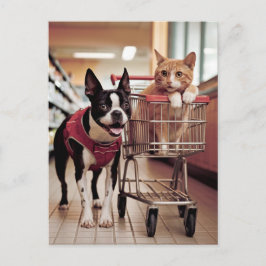 Bezauberndes Boston Terrier und Katze kaufen Postkarte